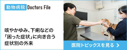 ドクターズインタビューバナー