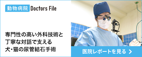 ドクターズインタビューバナー